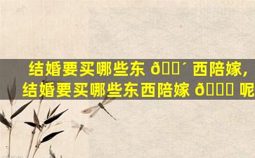 结婚要买哪些东 🐴 西陪嫁,结婚要买哪些东西陪嫁 🐛 呢